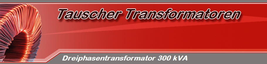 Dreiphasentransformator 300 kVA